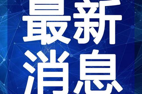 凤翔酒厂爆料视频最新,独家爆料带你探秘传统酿酒工艺