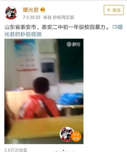 泰安二中爆料新闻最新,校园风云再起，揭秘神秘事件真相
